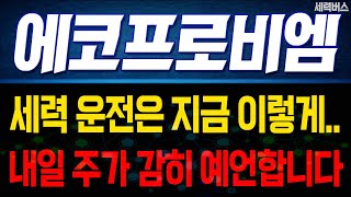 에코프로비엠 주가 전망. \