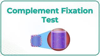 Complement Fixation test - Microbiology animations