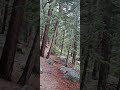 Hiking Down Eldorado Canyon on the Eldorado Canyon Trail in Boulder Colorado