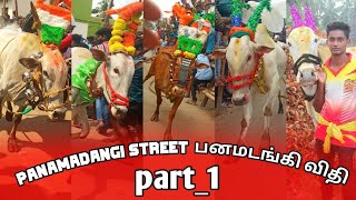 panamadangi street part_1 eruthukattu பனமடங்கி விதி எருதுகட்டு 💥💥