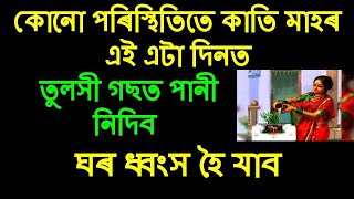 কোনো পৰিস্থিতিতে কাতি মাহৰ এই এটা দিনত তুলসী গছত পানি নিদিব হব অমংগল