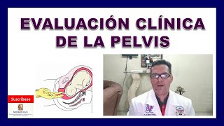 PELVIMETRÍA. Evaluación clínica de la pelvis en el EMBARAZO. ESTRECHEZ PÉLVICA. ¿Puede PARIR?