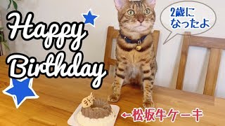 テト！2歳の誕生日おめでとう！！