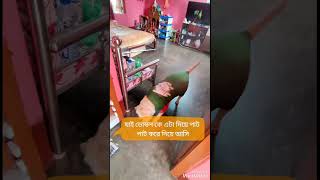 বদ দাদার সাথে সারাক্ষণ ঝামেলা হয় আমার