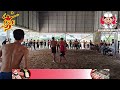 really amazing informal volleyball match powerful players long time attack