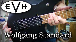 EVH Wolfgang Standard Restring