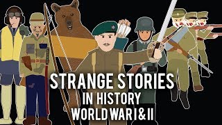Strange Stories in History - Compilation  Volume 1