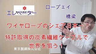 会計士が東京製綱株式会社のUHOを読んでみた。