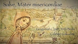 Gregorian Chant - Salve, Mater misericordiae - with lyrics