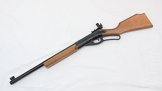 World's Most Accurate BB Gun - Daisy Avanti Champion 499 Air Rifle Review and Shooting