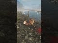 dropping huge double red deer 🦌🔫 thehunter call of the wild shorts