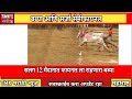 बब्या आणि सर्जा सेमीफायनल कदमवाडी मैदान. bailgadasharyat bailgada viral binjod babya sarjya