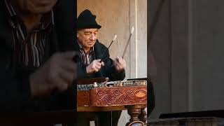 Hungarian man playing the Cimbalom in Budapest. #budapest #streetmusic #hungary