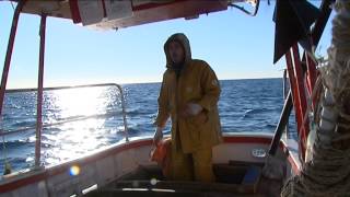 Bonus Prioriterre  pêche durable avec la prud'homie de Saint Raphael