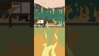 Practice Fire Safety - Camper’s Code #shorts #youtubeshorts #fyp #campfire