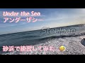 アンダーザシー 【練習：スティールパン】under the sea　砂浜で練習してみた！