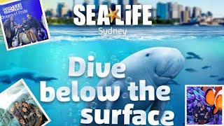 Explore Sydney SEA LIFE Aquarium: A Mesmerizing Underwater Adventure!