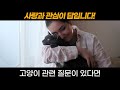 고양이가 추운지 알 수 있는 방법 고양이 언어 고양이 추위 고양이 더위 고양이 건강 how to know if a cat is cold