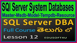 System Databases in SQL Server - SQL Server DBA Complete Course in Telugu - Lesson 12