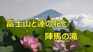 富士山と蓮の花と陣馬の滝  Mount Fuji, lotus flowers and Jinba Falls　静岡県富士宮市