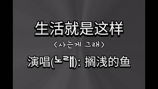 生活就是这样  搁浅的鱼   사는게 그래  중국노래번역    가사   단어