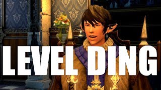 Level Ding ft. Sir Aymeric [FFXIV Hotline Bling Parody]