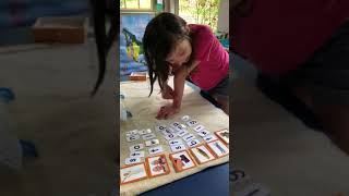 Using Waseca Reading program with a moveable alphabet