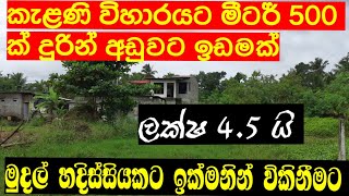 අංගොඩ කැළණිමුල්ලෙන්  අගනා ඉඩමක්/Land For Sale In Kelaniya/Best Selling/Kotikawaththa