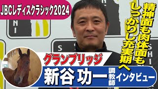 【JBCレディスクラシック2024】グランブリッジ・新谷功一調教師インタビュー「精神面も肉体面もしっかりし充実期を迎えている」「グランブリッジにJpnIという大きな勲章を」《東スポ競馬》