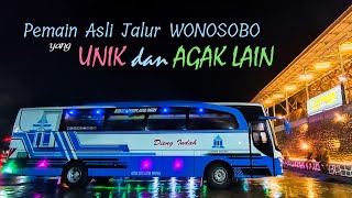 Apakah Bus ini LAYAK disebut SAPU JAGAT?? | Dieng Indah, Wonosobo - Tangerang