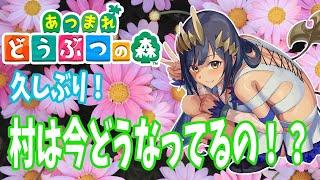 【あつ森】久しぶりに自分の村に行ってみよう！！【島村シャルロット / ハニスト】