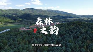 20241223-东北林区-大自然的宝库，宛如一颗璀璨的绿宝石，镶嵌在大地之上。