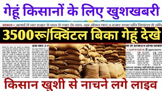 19 फरवरी 2025 गेहूँ का भाव गेहूँ के भाव में तूफानी तेजी देखें भाव, Gehu ka Bhav,Wheat rate today