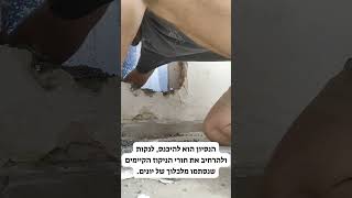 נעם סולסקי ההנדימן-איך לשבור קיר ולא להצליח להיכנס