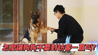 怎麼讓狗狗不要對訪客一直叫?