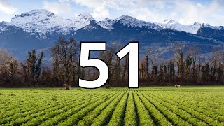 51 Second Countdown Timer With Alarm Sound At the End (Simple Beep)
