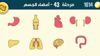 حل مرحلة ٤٣ كلمات كراش 43 kalimat krach