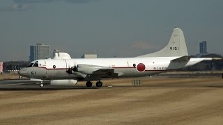 海上自衛隊 UP-3C (#9151) 厚木基地 2017年3月3日