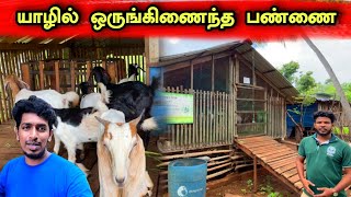 யாழ்ப்பாணத்தில்  முன்மாதிரி பண்ணை🌳😍👌 |An integrated farm with a profit of lakhs of rupees