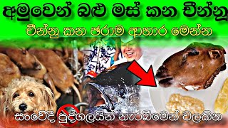 චීනයේ මිනිස්සු ආහාරයට ගන්නා අප්‍රසන්නම ආහර 7 මෙන්න | 7 Most Disgusting Foods The Chinese Eat