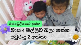 Sibling love | අක්කා බබාගෙයි මල්ලි බබාගෙයි ආදරය | akkayi malliy