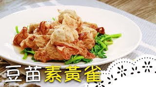 江浙腐皮名菜！清新爽脆的素食料理，做法很簡單～│豆苗素黃雀│溫國智 老師