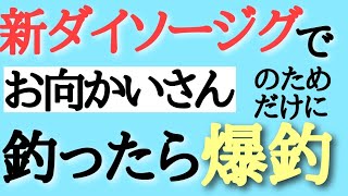 自分の欲を捨ててお向かいさんのためだけに釣りしたら爆釣しました‼ダイソージグは最高でした～！　#ジギング　#釣り　#青物釣り　#2馬力ボート　#オフショア　#イサキ釣り　#ナブラ　#ダイソージグ