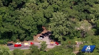 Witnesses describe the moments after a tree fell on and nearly killed a child and adult