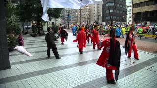 東京マラソン2015　千紫万紅　青嵐　後ろから