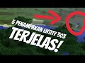 5 PENAMPAKAN ENTITY 303 TERSERAM & TERJELAS