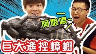 大蟑螂出擊！YouTuber驚聲尖叫，整人大成功【黃氏兄弟】 Ft.一大堆創作者 PRANK