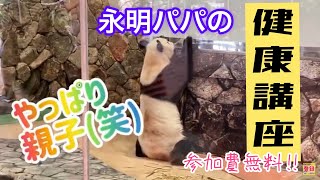 🐼永明パパの健康講座❣️アドベンチャーワールド🌿パンダ🐼