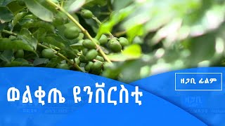 ዘጋቢ ፊልም- ወልቂጤ ዩንቨርስቲ