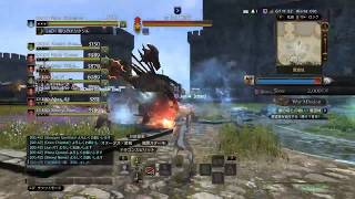 DDON 戦の将　ケミ視点